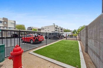 On-site dog park